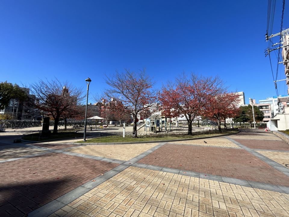 皐月マンション天文館８０７号室 公園