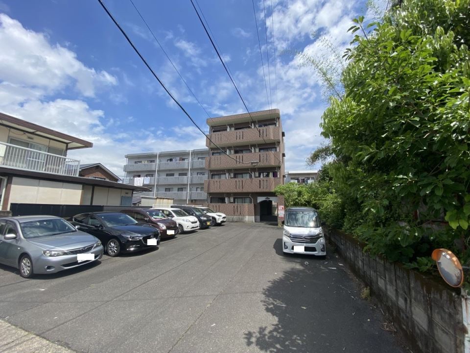 メゾンホワイト その他