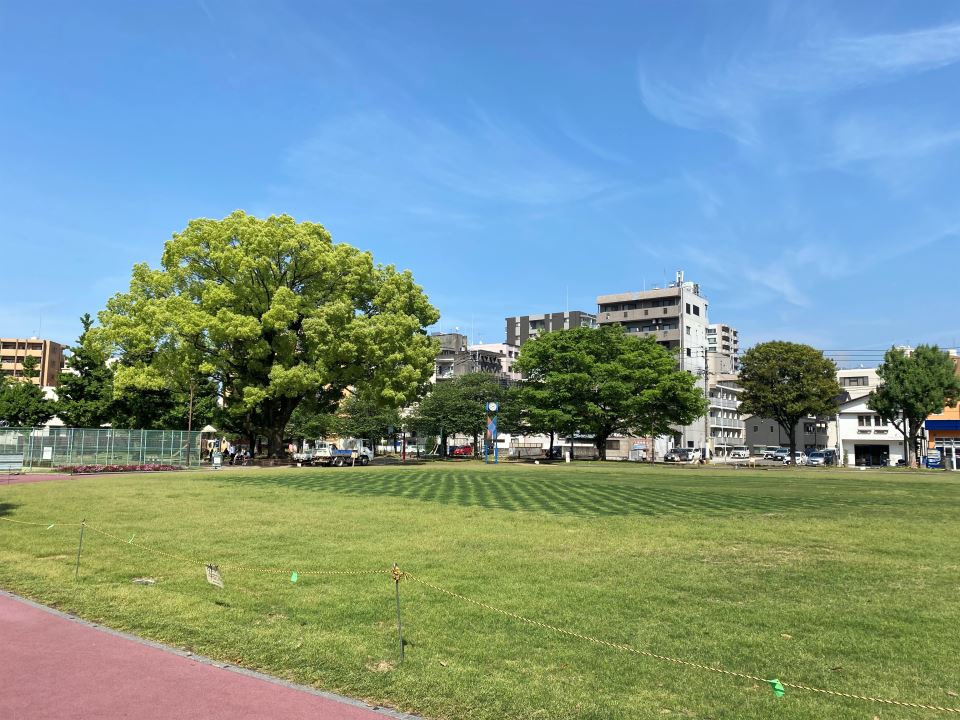 ＧＲＥＥＮ ＬＩＦＥ シンガイ中央ビル 公園