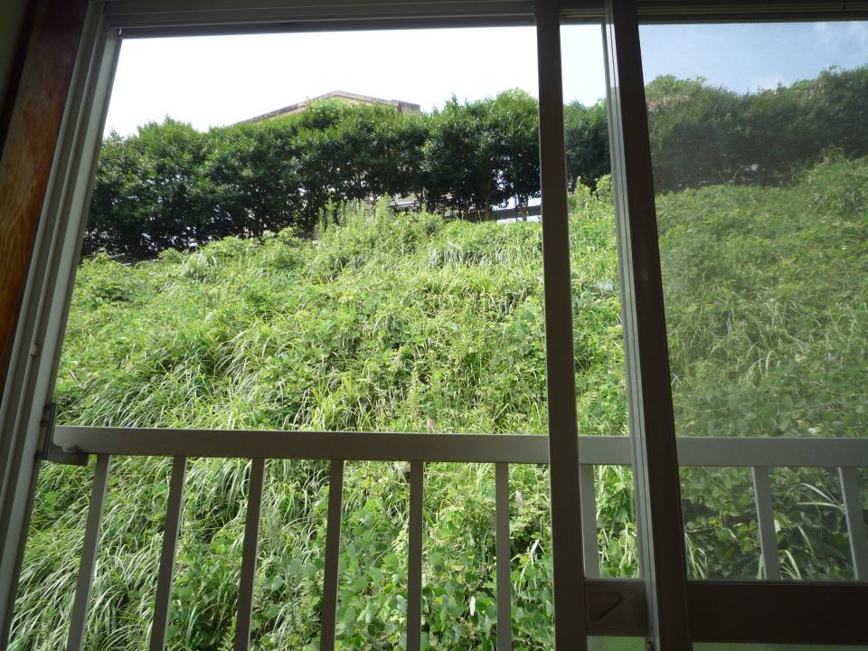 イエローハウス リビング
