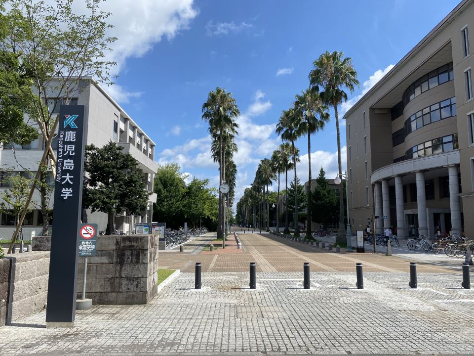 マリンハイツ（唐湊） 大学・短大