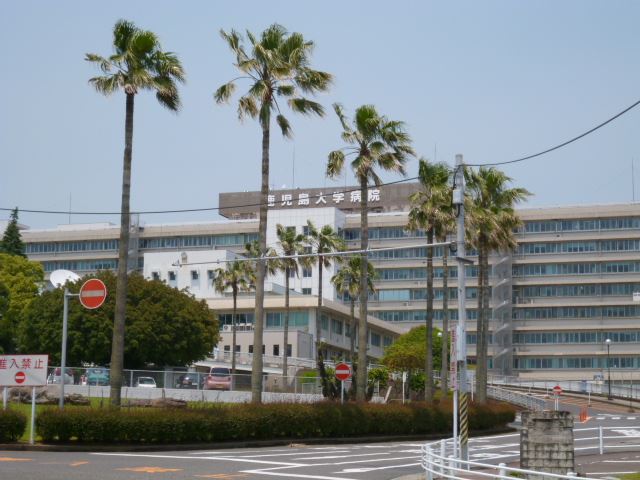 Ｆｌａｔ０６ 総合病院