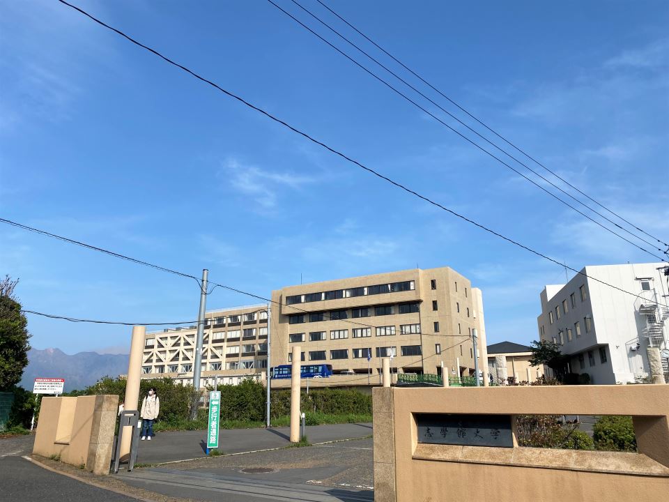 ＦＥＺＡＮ　ＭＡＩＳＥＮⅡ 大学・短大