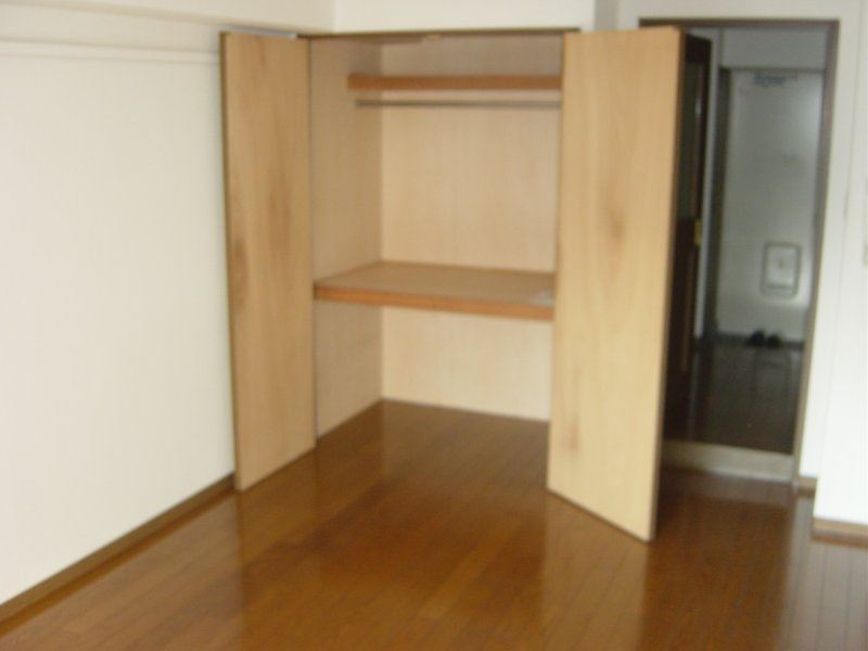 セントラルパレス 収納