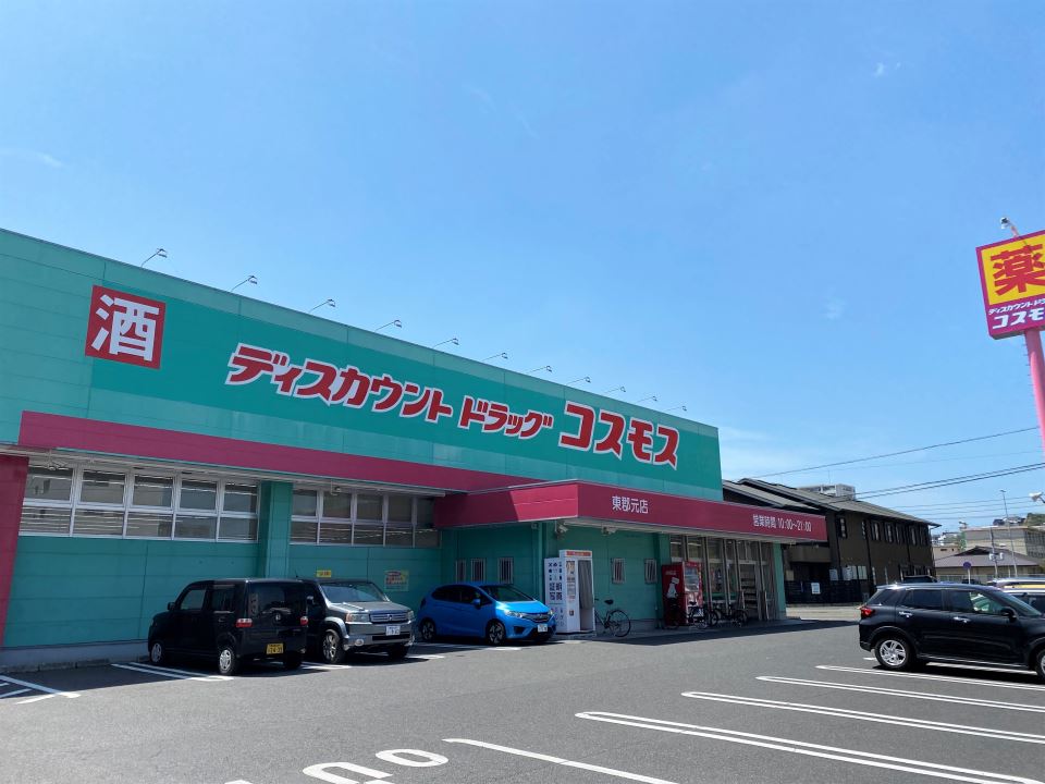ＦＥＺＡＮ　ＭＡＩＳＥＮⅡ ドラッグストア