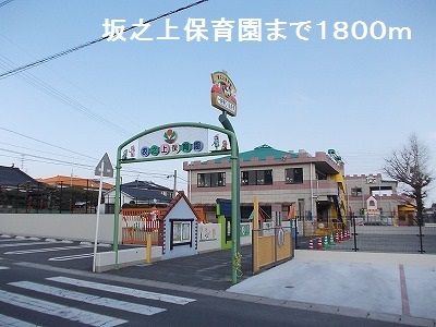 サニープラシードⅡ その他