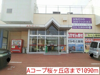 鹿児島県鹿児島市魚見町 その他
