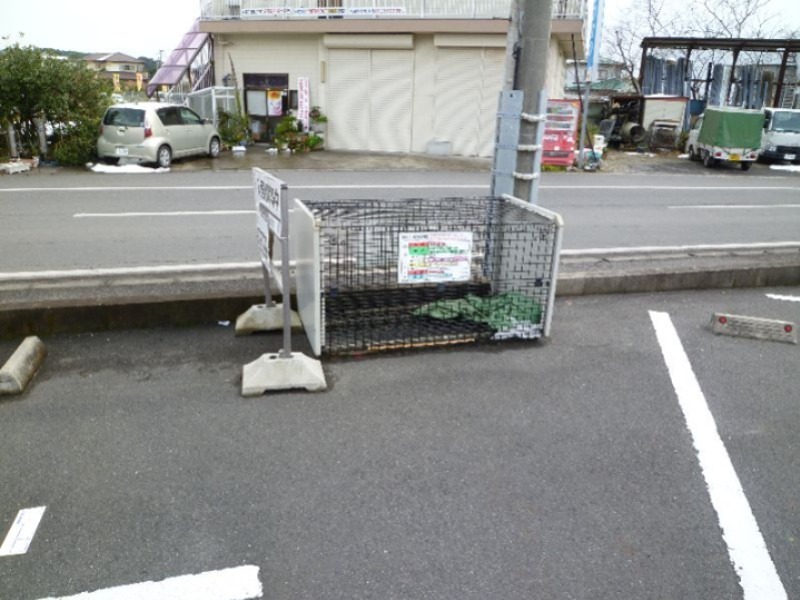 イクスピアリベマーイ その他共有部分