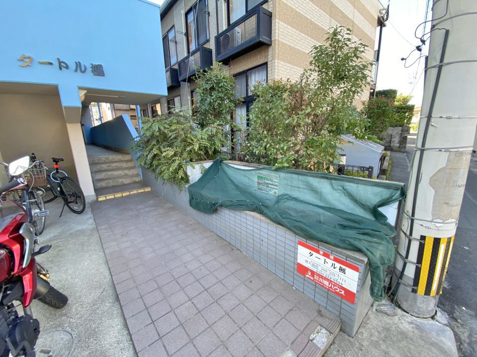タートル楓 その他