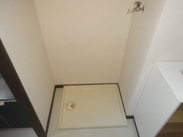 シェソワ常入 その他