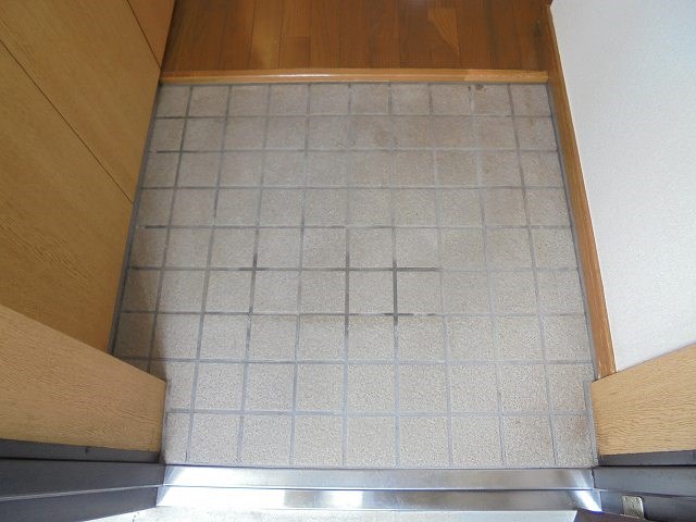 エクセリーナいなだ 玄関