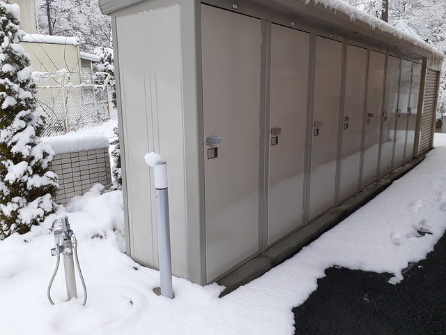 エルヴィータS その他