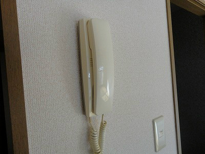 アマリリスよこやま セキュリティ