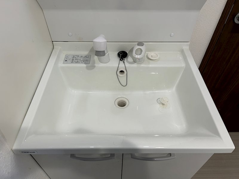 グランメゾン山﨑 洗面所