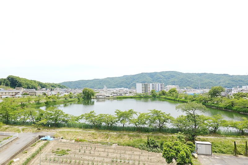 さくら小径 眺望