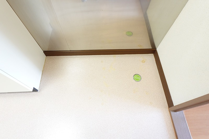さくら小径 その他