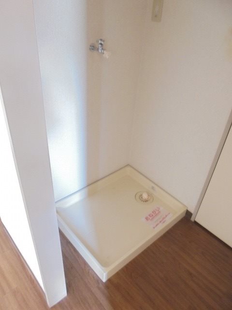 ヴェルドミール その他