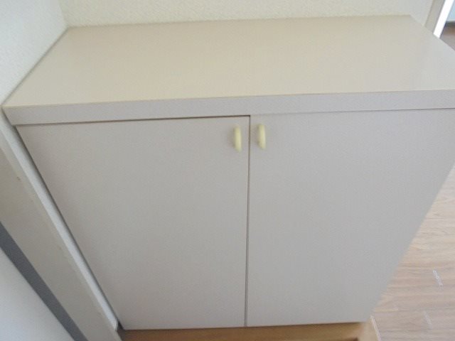 ヴェルドミール 玄関