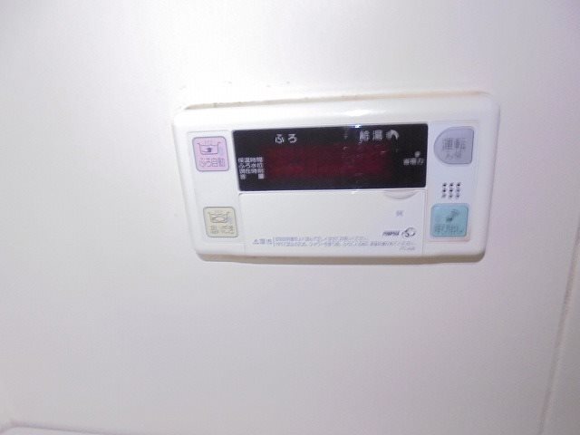 ヴェルドミール その他