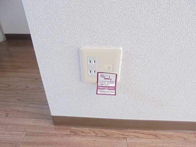 ヴェルドミール その他