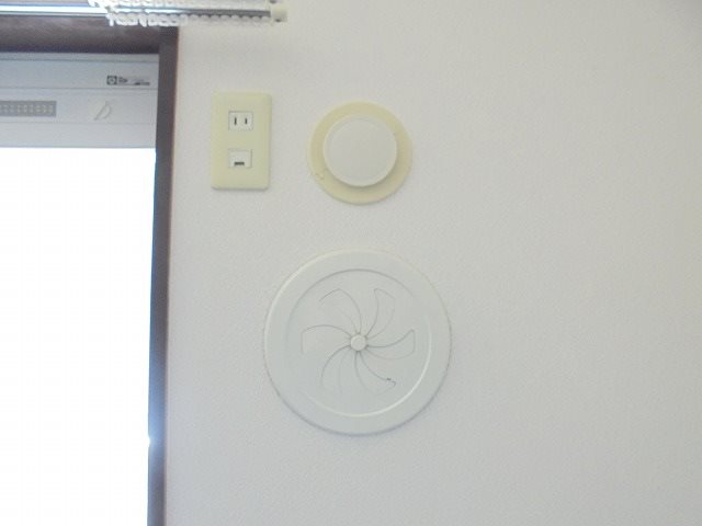 ヴェルドミール その他
