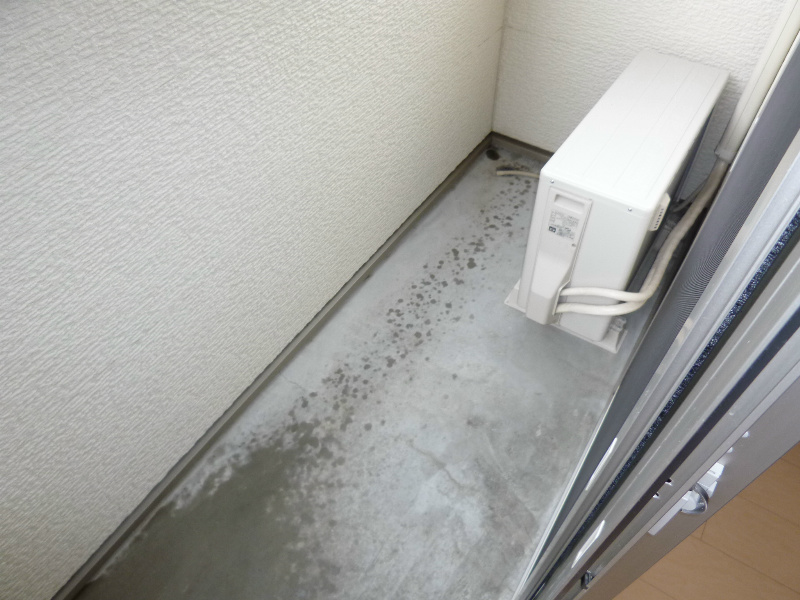カモミール ベランダ