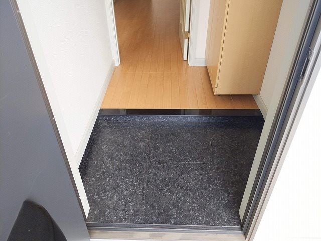 グランディール希 玄関