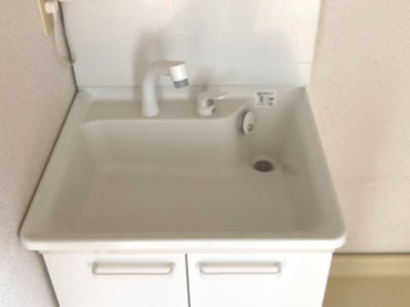 メゾン大谷 洗面所