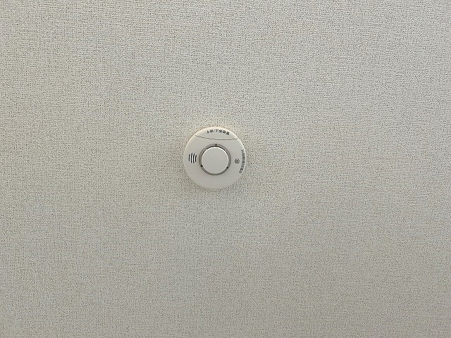 カーサ　マールム その他
