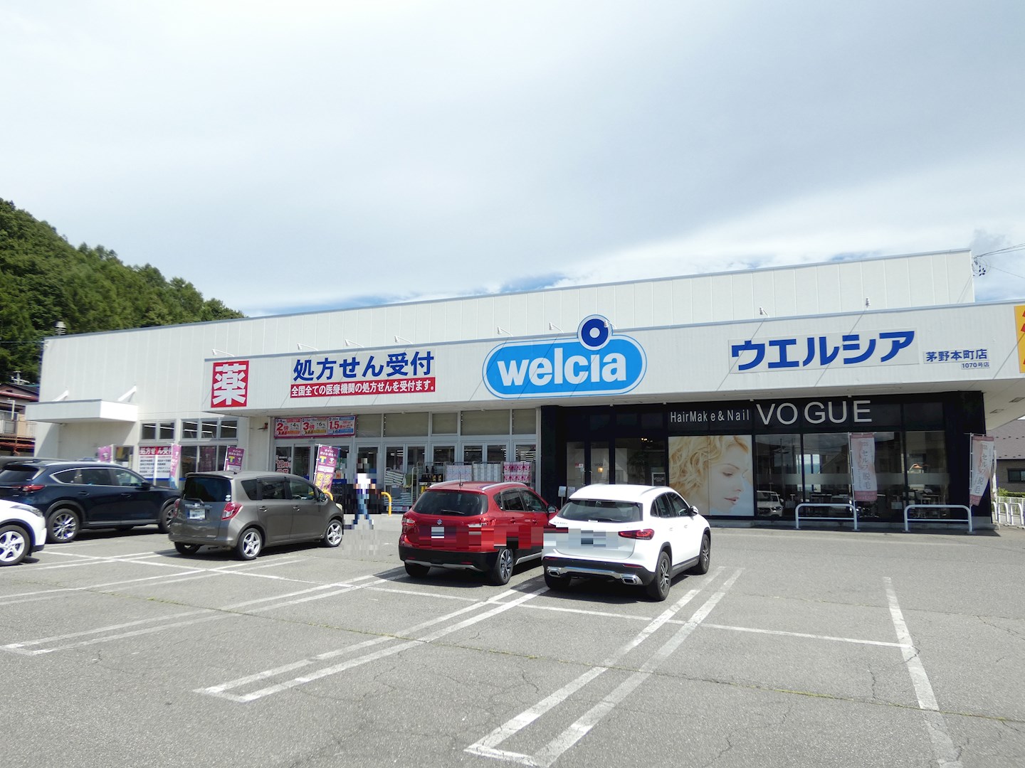 塚原戸建 ドラッグストア