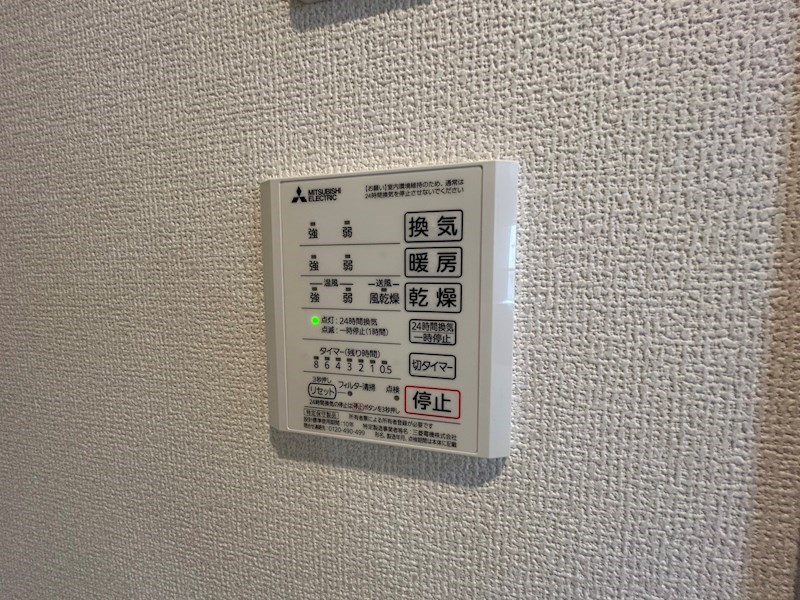 ミニョンサンクチノ その他