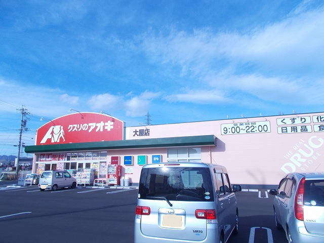 アドヴァンス大屋A ドラッグストア