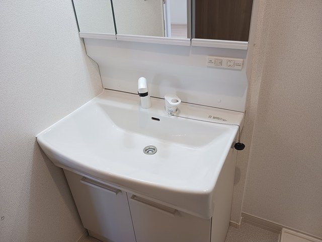 スカイツリーⅢ 洗面所