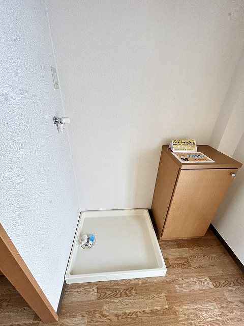 サープラスマロニエ その他
