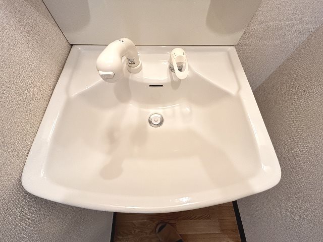 サープラスマロニエ 洗面所