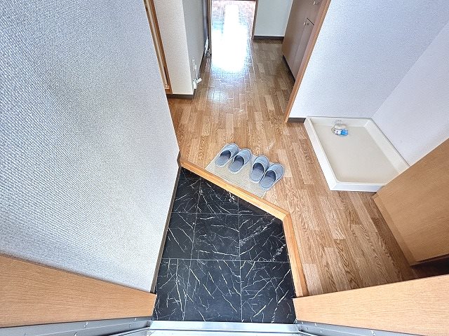 サープラスマロニエ 玄関