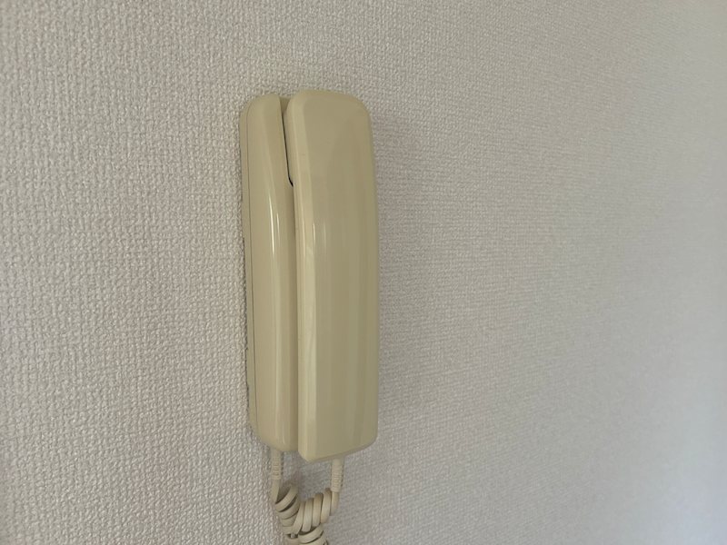 ディアス・メイＡ セキュリティ