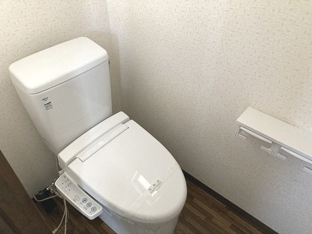 ドリームハイツB棟 トイレ