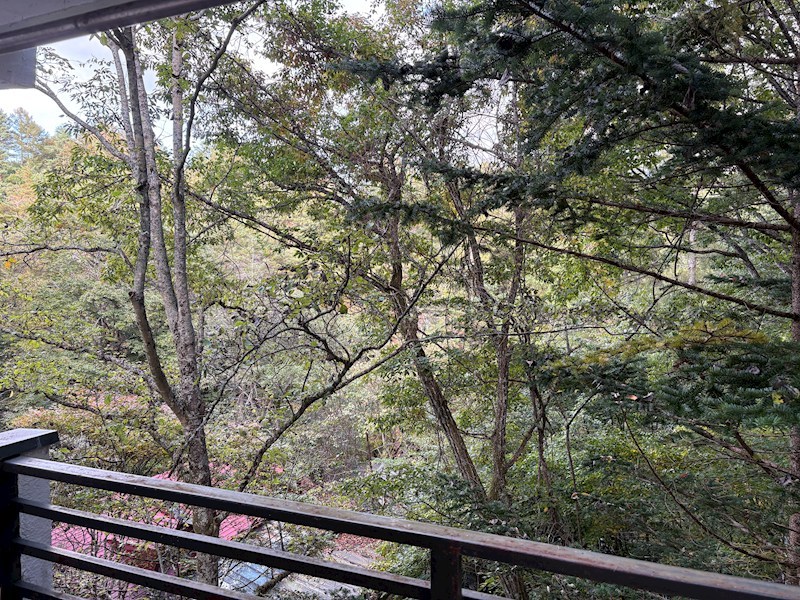 軽井沢シャトー 眺望