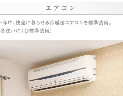 アイリス その他