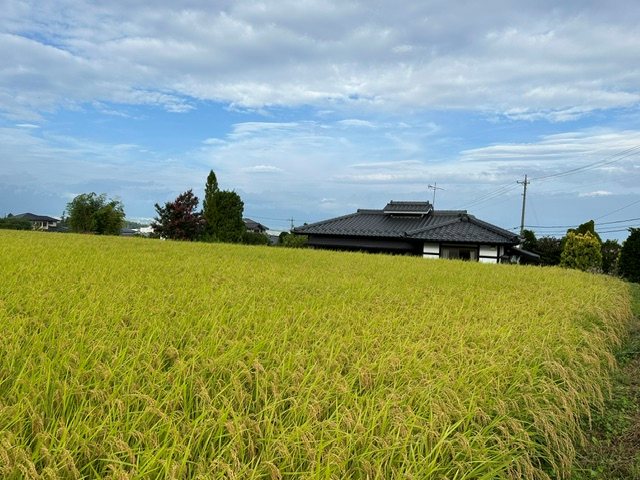 T内田貸家 眺望