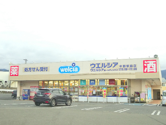 穂波温泉西湯ガレージ付戸建 ドラッグストア