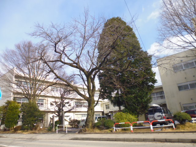 メゾネット加山 小学校
