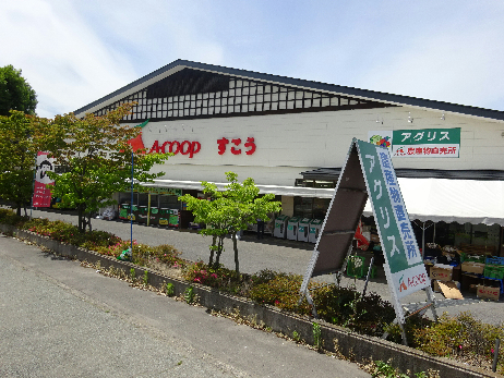 グランドシティ小河原 スーパー