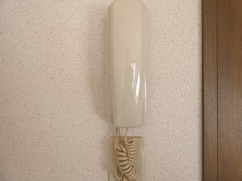 エルピスフタゴ セキュリティ