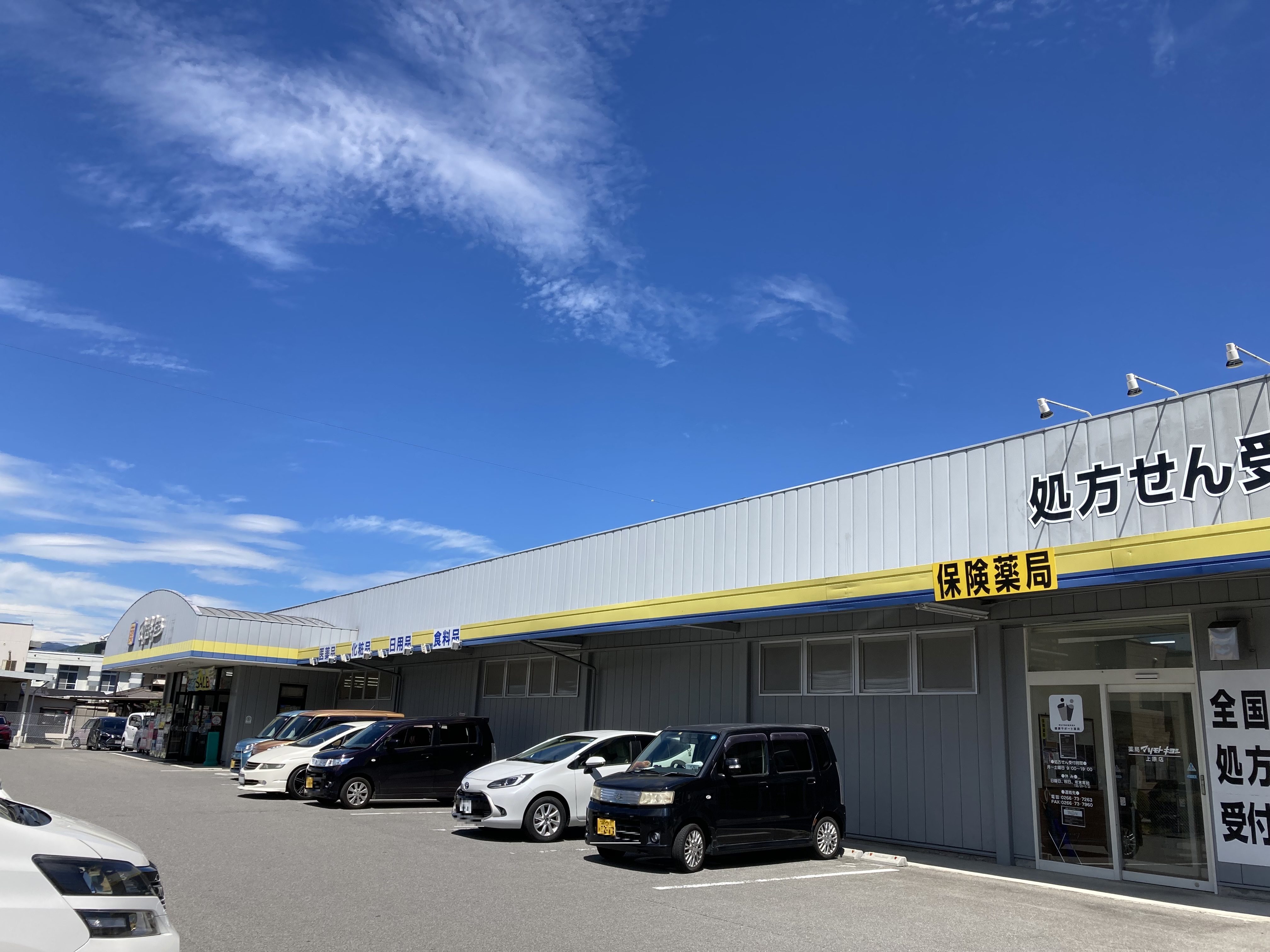 メゾン寺島Ⅱ ドラッグストア