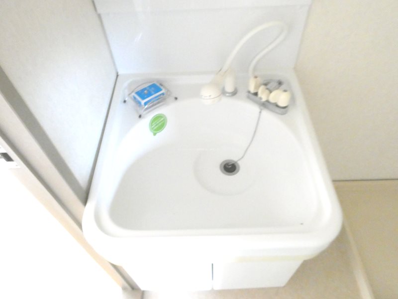 アプリコットハウスⅡ 洗面所