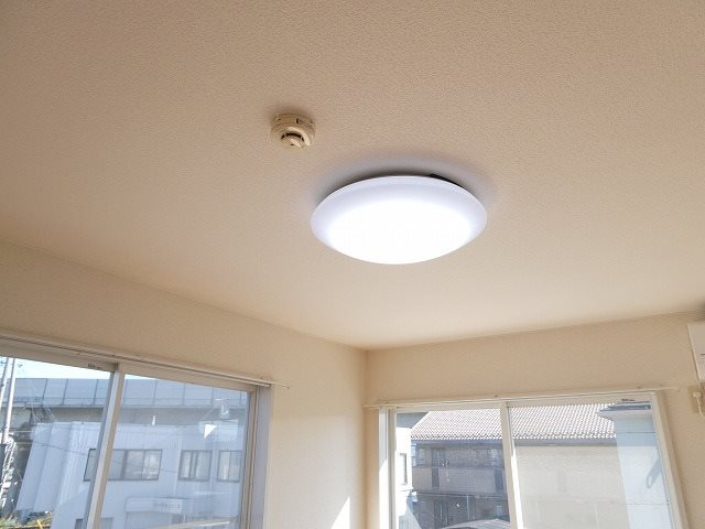 Ｆドエル その他