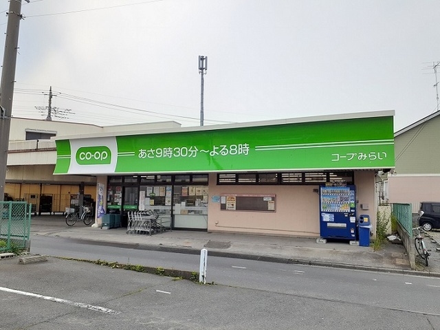 プリムローズ その他