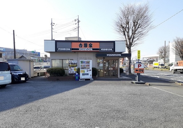 プリムローズ その他